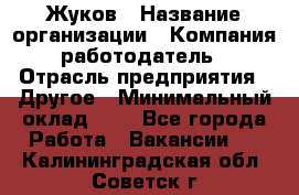 Жуков › Название организации ­ Компания-работодатель › Отрасль предприятия ­ Другое › Минимальный оклад ­ 1 - Все города Работа » Вакансии   . Калининградская обл.,Советск г.